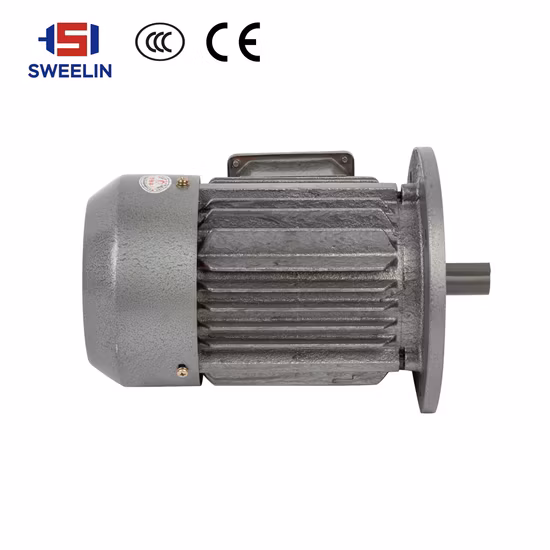 고효율, AC, 비동기 유도 기능을 갖춘 IEC/Ye 3상 산업용 전기 모터