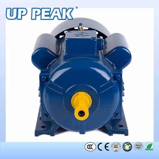 중국 단일 3상 1.5kw 2hp 5.5kw 132m 132sb 160m 커패시터 시작 실행 AC 비동기 유도 전기 모터 제조업체 공급 업체 공장
