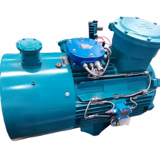 IEC 규격에 따른 고효율 3상 AC 전동기, 50Hz/60Hz, 고/저전압